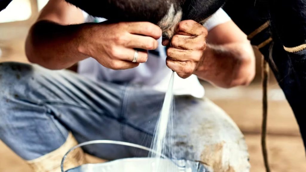 El plan de Los Altos para bajar costos de la leche