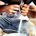 El plan de Los Altos para bajar costos de la leche