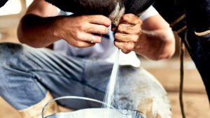 El plan de Los Altos para bajar costos de la leche
