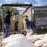 Falta de forraje Histórica entrega de alimento en Chihuahua