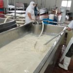 Huachileche en Tulancingo Estalla crisis por quesos falsos