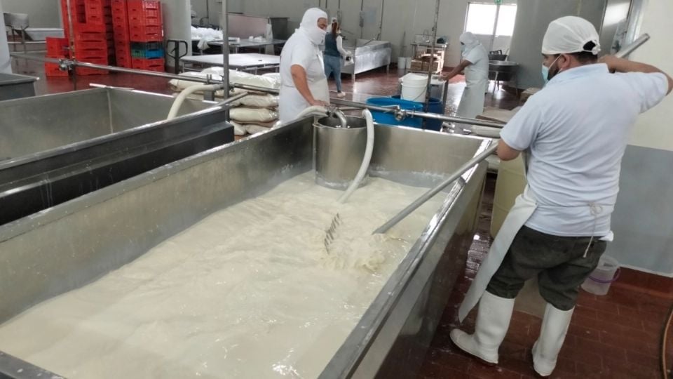 Huachileche en Tulancingo Estalla crisis por quesos falsos