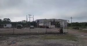 Inicia el acopio de leche en el sur
