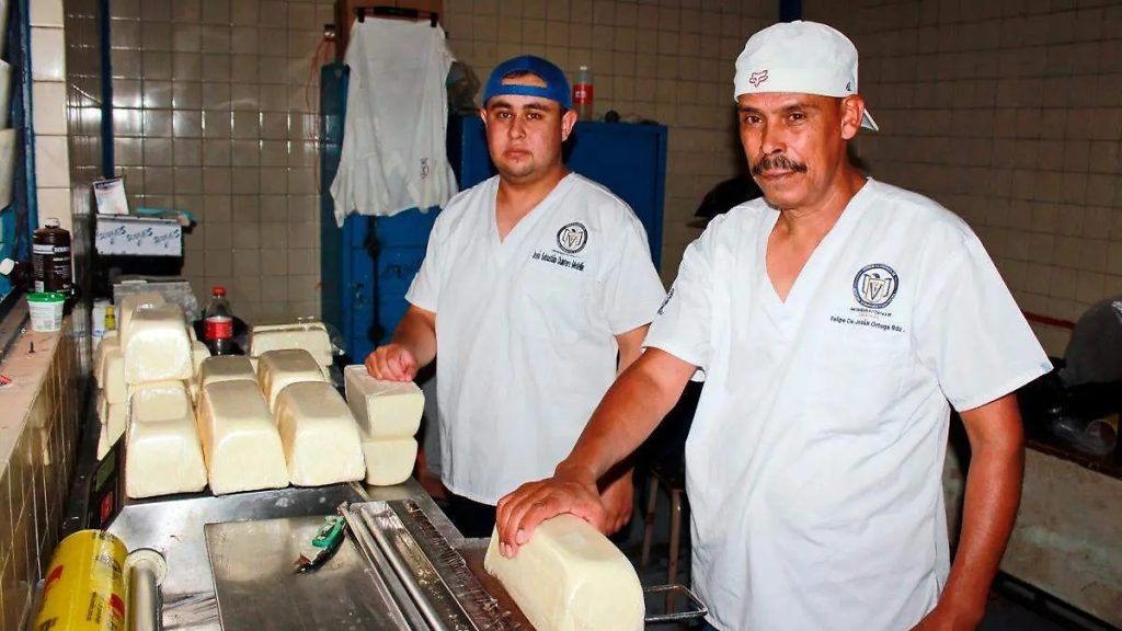 La UAZ produce con éxito queso Chihuahua de élite