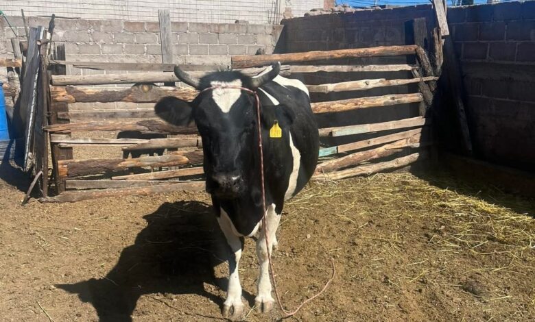 Piso parejo para la leche el fuerte reclamo ganadero