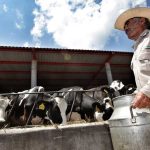 Plan lácteo nacional Tamaulipas será el gran ganador