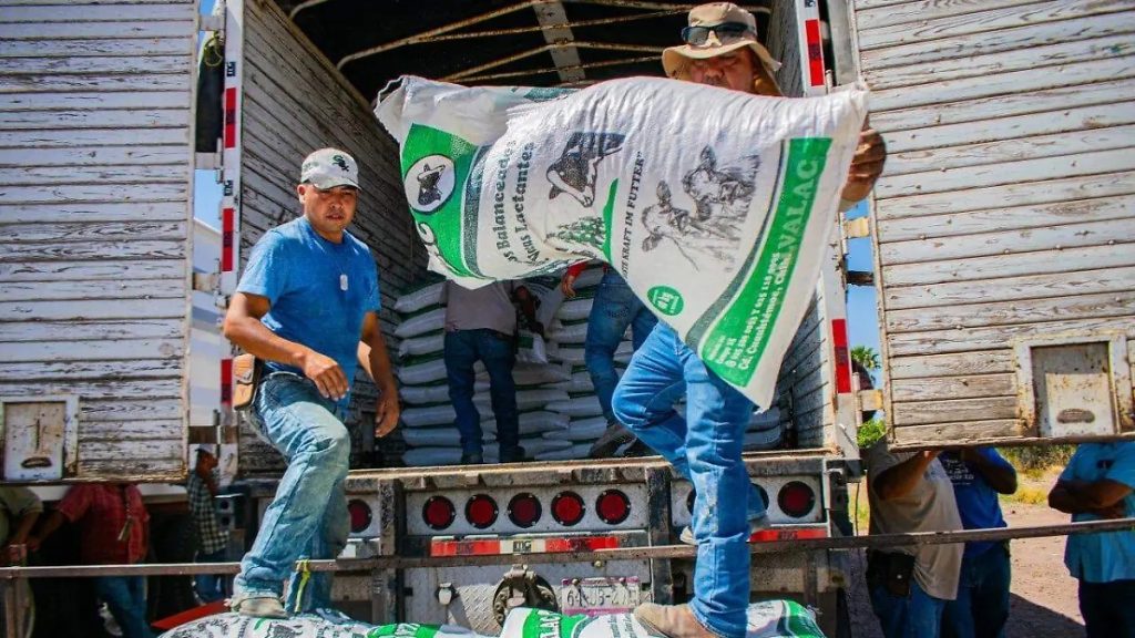 Reparten 100 toneladas de alimento a lecheros