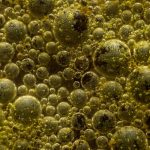 Retiran famosos quesos por listeria