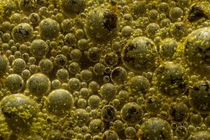 Retiran famosos quesos por listeria