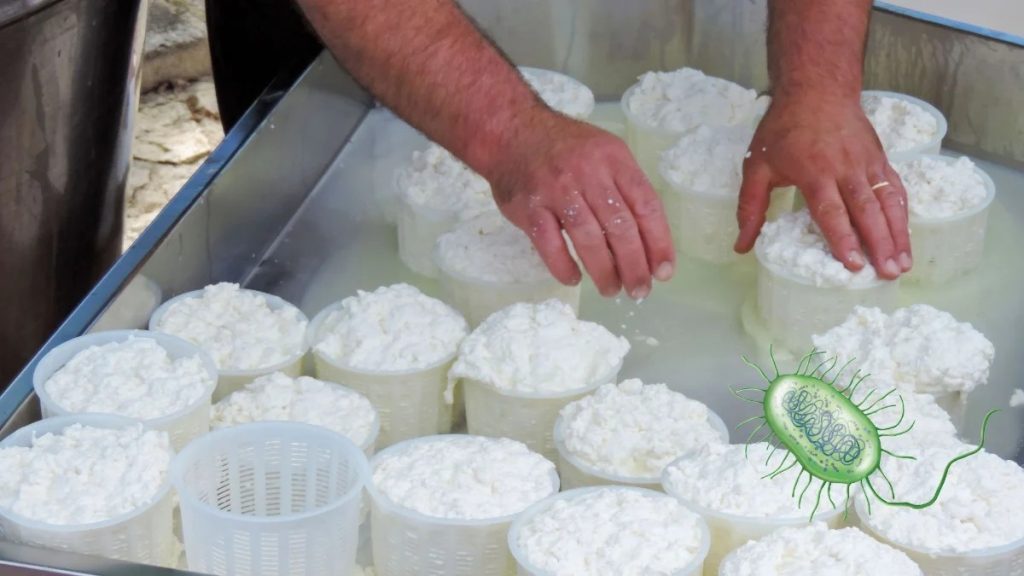 Alerta por listeria Retiran queso cottage hecho en México