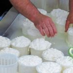 Alerta por listeria Retiran queso cottage hecho en México