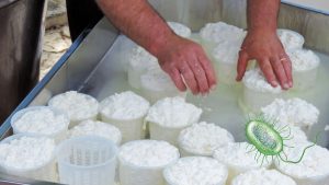 Alerta por listeria Retiran queso cottage hecho en México