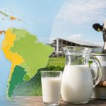 Argentina lidera la competitividad láctea en Latinoamérica con los costos de producción más bajos de la región