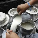 Cae 50% la demanda de leche en el establo