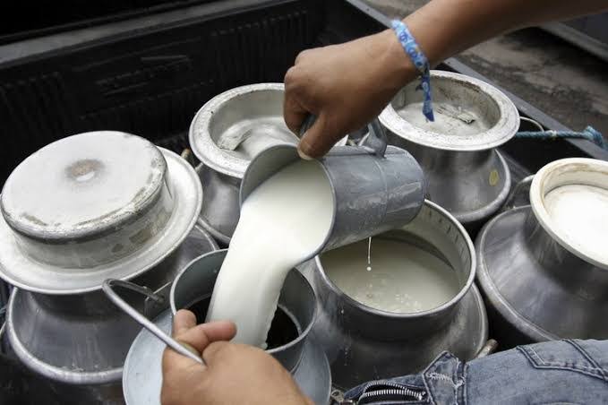 Cae 50% la demanda de leche en el establo
