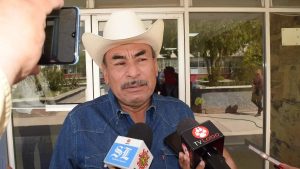 Caída en el precio del maíz forrajero pone en riesgo la rentabilidad agrícola en La Laguna