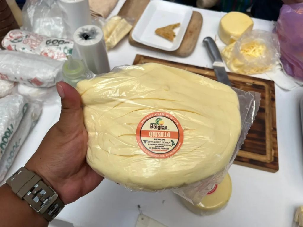 Crisis en Chiapas El gusano barrenador golpea al queso