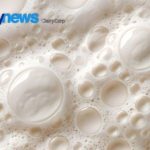 El fraccionamiento molecular redefine el valor de los ingredientes lácteos El fraccionamiento molecular redefine el valor de los ingredientes lácteos
