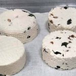 El queso artesanal mexicano gana terreno en mercados especializados impulsado por la UNAM