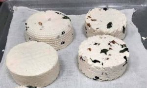 El queso artesanal mexicano gana terreno en mercados especializados impulsado por la UNAM