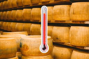 Estrés térmico y sequía amenazan la viabilidad de la DOP Parmigiano Reggiano