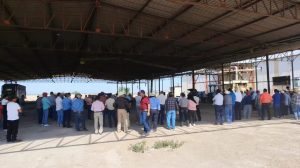 Guerra por el forraje Alerta para lecheros de la Laguna