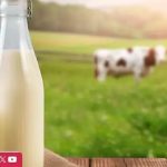 Holstein México advierte sobre un déficit de 24 millones de litros diarios en la producción nacional