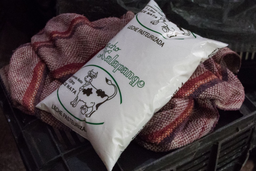 Nutrición personalizada redefine el consumo de la matriz láctea