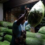 ¿Peligra el T-MEC? Alerta por abasto en el campo Peligra el T-MEC Alerta por abasto en el campo