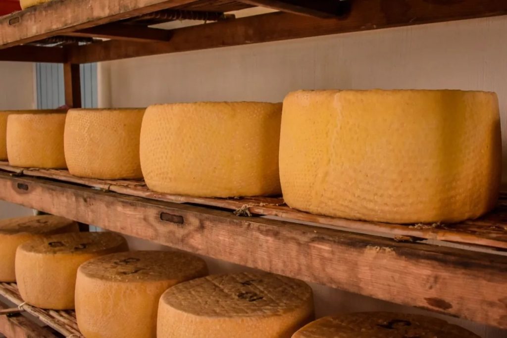 Queso Cotija genuino abandona la sombra del parmesano europeo