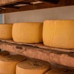 Queso Cotija genuino abandona la sombra del parmesano europeo Queso Cotija genuino abandona la sombra del parmesano europeo