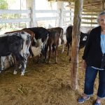 Yucatán otorga subsidio directo de un peso por litro a la lechería tropical del oriente Yucatán otorga subsidio directo de un peso por litro a la lechería tropical del oriente
