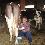 Baja el precio de la leche y ganaderos de Ahome buscan recuperar el mercado local frente a la crisis de rentabilidad Baja el precio de la leche y ganaderos de Ahome buscan recuperar el mercado local frente a la crisis de rentabilidad
