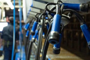 El mercado lácteo europeo perfila un reequilibrio de precios hacia finales de 2026 impulsado por la desaceleración de la oferta