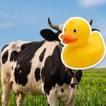 Femeleche exige retirar del mercado productos adulterados y auditar márgenes de las industrias lecheras