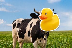 Femeleche exige retirar del mercado productos adulterados y auditar márgenes de las industrias lecheras