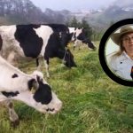 La importación masiva de leche en polvo y los bajos precios ahogan a productoras del centro de Veracruz La importación masiva de leche en polvo y los bajos precios ahogan a productoras del centro de Veracruz