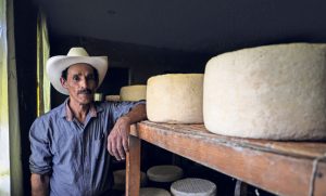 Productores de queso Cotija luchan por preservar la tradición artesanal frente a la falta de relevo generacional y trabas regulatorias