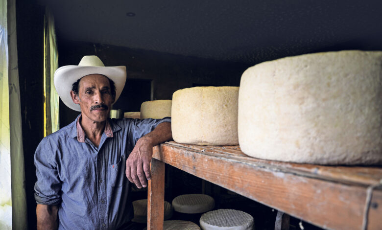 Productores de queso Cotija luchan por preservar la tradición artesanal frente a la falta de relevo generacional y trabas regulatorias