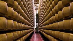 Qué son los bancos de queso en Italia y por qué el calor extremo amenaza un esquema financiero de 300 millones de euros
