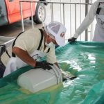 Veracruz reafirma su liderazgo artesanal y ganadero con la elaboración del queso más grande del mundo Veracruz reafirma su liderazgo artesanal y ganadero con la elaboración del queso más grande del mundo