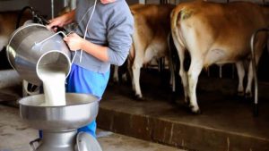 Concretan comodato entre ganaderos de Ahome y Liconsa para el centro de acopio de leche La Despensa