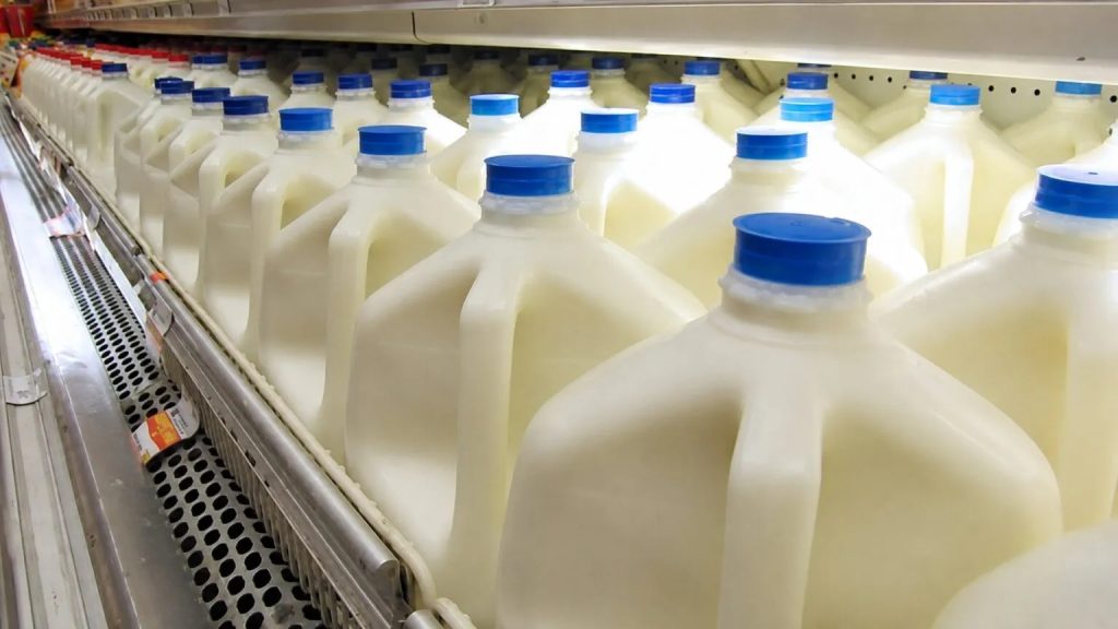 Empresas lácteas aceleran estrategias para elevar la concentración de proteína en la leche y optimizar el rendimiento industrial