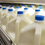 Empresas lácteas aceleran estrategias para elevar la concentración de proteína en la leche y optimizar el rendimiento industrial
