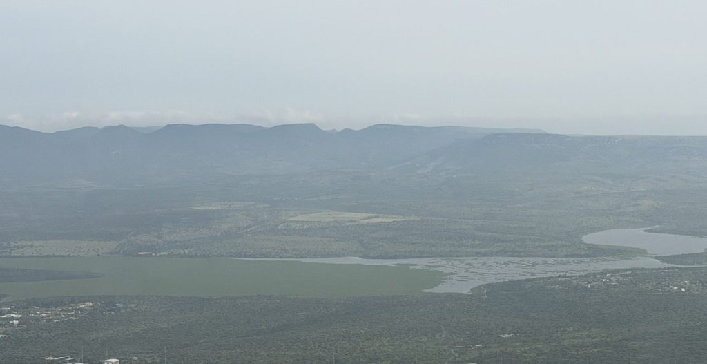 Inagua no descarta que la proliferación de lirio en presas de Aguascalientes derive de descargas del sector lechero