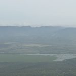 Inagua no descarta que la proliferación de lirio en presas de Aguascalientes derive de descargas del sector lechero Inagua no descarta que la proliferación de lirio en presas de Aguascalientes derive de descargas del sector lechero