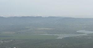 Inagua no descarta que la proliferación de lirio en presas de Aguascalientes derive de descargas del sector lechero