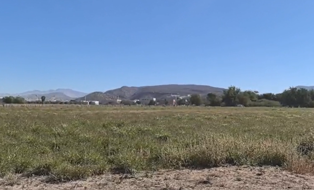 Prevén mayor producción de queso regional tras las lluvias registradas en Baja California Sur