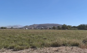 Prevén mayor producción de queso regional tras las lluvias registradas en Baja California Sur