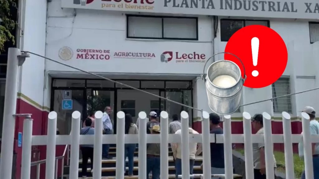 Productores de leche reclaman en Xalapa pagos atrasados de Liconsa ante la asfixia económica de los establos
